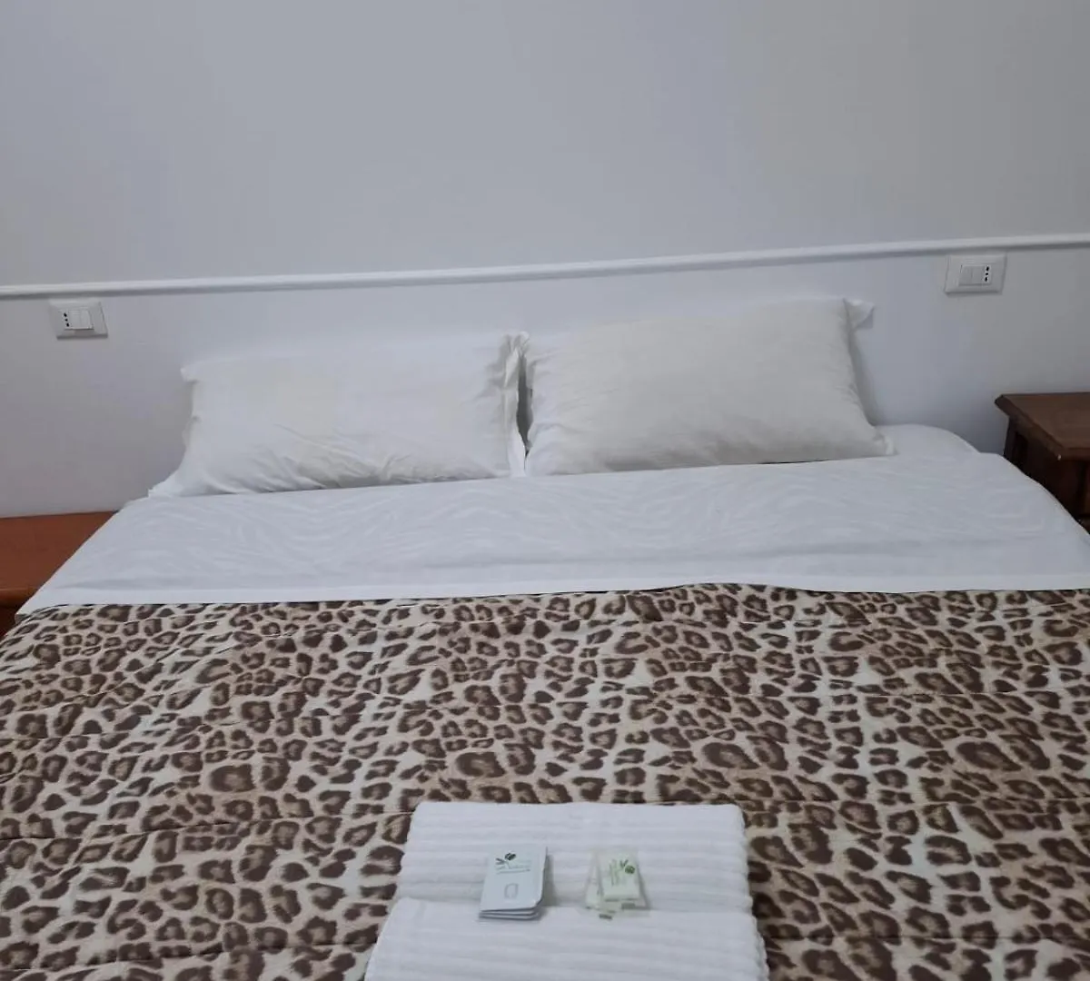 Guest house Affittacamere Rome Palace